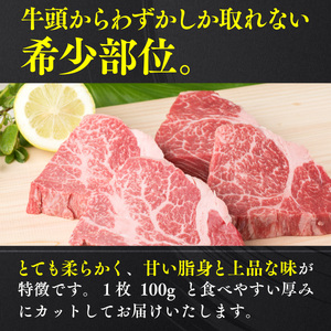 牛肉 ヒレ ステーキ 博多和牛 1枚 約100g 4枚 牛肉 [um40azp180000]