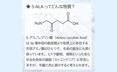 アラヴァイタル（5-ALAサプリメント）30粒入り おまとめ2個セット アミノ酸 健康 天然アミノ酸 亜鉛 鉄 ナイアシン ビオチン
