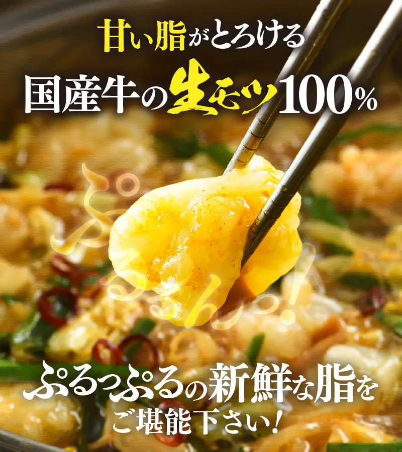 ぷるるんもつ鍋セット 中華麺付き！（約2～3人前）みそ味 越前のホルモン屋 国産牛 / キャンプ飯 味噌 モツ鍋 小腸 ホルモン 鍋 国産 国産牛 牛ホルモン おつまみ 冷凍 お試しセット 人気 アウトドア キャンプ ソロキャンプ  [aw001-a010]