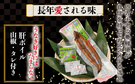 26-006．四万十川優化イオンうなぎ蒲焼2尾（ボイル肝、たれ付き）
