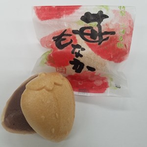 【手作り】苺もなかとかぼちゃどら焼き詰め合わせ【贈答対応】 M046-002 スイーツ