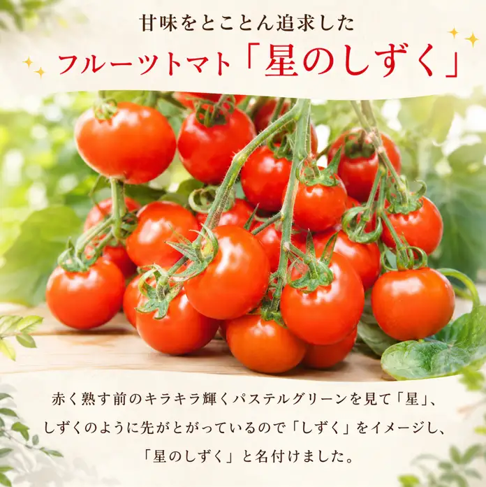 トマト 700g フルーツトマト トマト