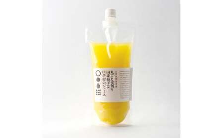 丸ごと皮削り国産柚子と伊予柑のジュース 伊予柑