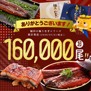 楠田の極うなぎ 蒲焼き 170g以上×3尾(計510g以上) うなぎ 鰻 ウナギ 国産 鹿児島県産 九州産 蒲焼き 冷凍 うな重 ひつまぶし b2-010