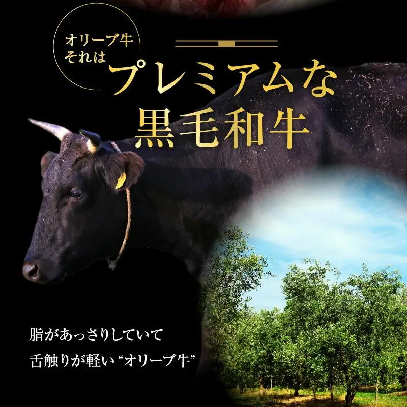 オリーブ牛　牛串20本セット ｜ お肉 オリーブ 牛肉 串 牛 牛串 オリーブ牛 美味しい 人気 おすすめ