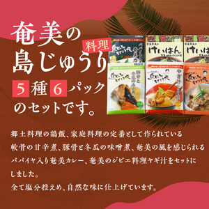 【 奄美 の 伝統 ・ 島料理 】レトルト 6パック セット A003-009 惣菜 総菜 鶏飯 軟骨の甘辛煮 豚骨と冬瓜のみそ煮 ヤギ汁 パパイヤ入り奄美カレー 伝統島料理 ジビエ料理 塩分控えめ ソウルフード 豚軟骨 軟骨 奄美料理 カレー ごちそう ご褒美 時短 便利 簡単 美味しい おいしい エナジースープ おかず 汁 夕食 昼食 朝食 三環舎 ふるさと納税 鹿児島 奄美市 おすすめ ランキング プレゼント ギフト