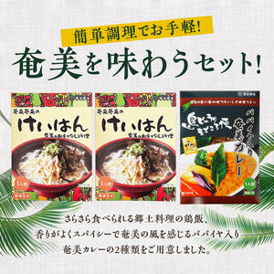 鶏飯 ・ パパイヤ 入り 奄美 カレー セット A003-006 レトルト 総菜 惣菜 島料理 伝統料理 ソウルフード おもてなし料理 ごはん 手軽 時短 三環舎 ふるさと納税 鹿児島 奄美市 おすすめ ランキング プレゼント ギフト
