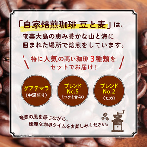 【自家焙煎】豆と麦の人気コーヒー 200g×3種類セット（粉） A017-012-02 自家焙煎コーヒー 詰め合わせ 3種 各200g セット 粉 グアテマラ コロンビア エチオピア ブラジル モカ 奄美大島 オリジナルブレンド 珈琲 ホット アイス 癒し ギフト