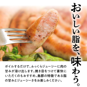 奄美島豚 あかりんとん ソーセージ 5種セット A008-002 ソーセージ 5種 詰め合わせ セット 肉 お肉 島豚 ブランド豚 ホワイト スモーク ジャンボフランク ボロニア ボンレスハム ハム ふっくら ジューシー BBQ ギフト 贈り物 プレゼント お取り寄せ 鹿児島 奄美大島 カイセイ ご当地 グルメ キャンプ飯 お弁当 おかず
