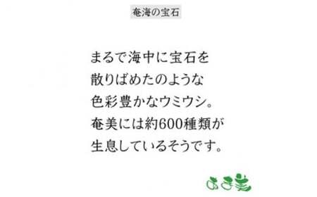 ＜あま美デザイン工房作奄海の宝石＞奄美イラストTシャツ【Mサイズ】 A107-002-02