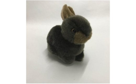 アマミノクロウサギ「ぴょん太マスコット」 A107-005 ぬいぐるみ