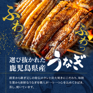 創業140年！老舗うなぎ屋のうなぎのかば焼き2尾と骨せんべいセット A040-004