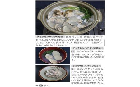うま味が濃い純白出汁の天然”ゼンナ”冷凍（蛤小）5kg入り 魚貝類 旨み 濃厚な出汁 天然はまぐり 身が厚い 甘み 貝 海の幸 海鮮 国産 九十九里浜産 
