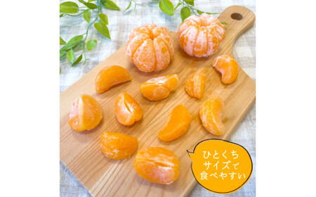 T12 ひとくちむかん 500g