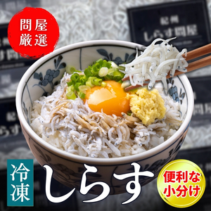 冷凍釜揚げしらす500g （100g×5パック） / シラス 厳選 小分け 冷凍便 お米のおとも【dig207-f-500】