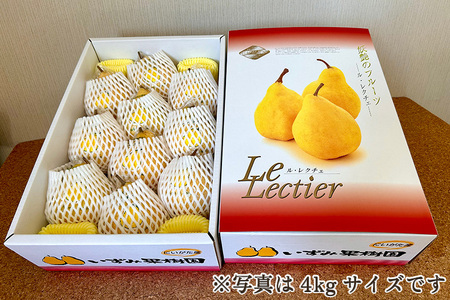 【2026年先行予約】【贈答用】西洋梨ル・レクチェ 約4kg（9～12玉）《11月下旬～順次出荷》幻の洋梨 フルーツ 贈答 冬の味覚 加茂市 いずみ果樹園