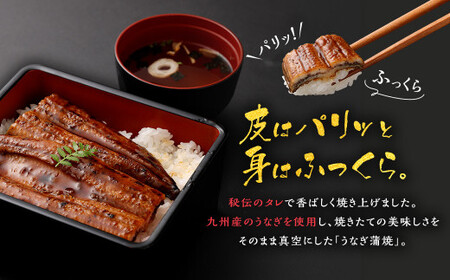 AS-448 九州産うなぎ蒲焼き 2尾 合計約240g(約120g×2尾) タレ付