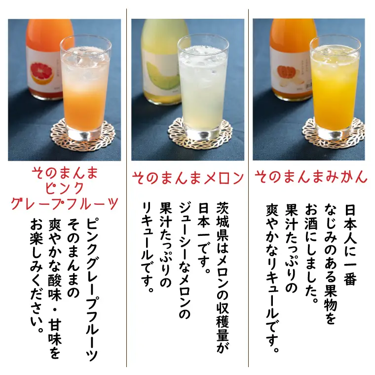 そのまんまシリーズ３種飲み比べセット（メロン・みかん・ピンクグレープフルーツ）（DW-113）