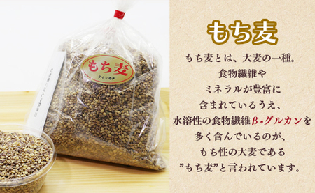 ダイシモチ もち麦 900g×3袋 食物繊維 もち麦 yr-0065