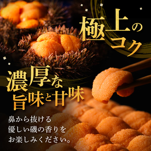 ＜全3回・連続＞氷温熟成＼ウニづくし!!／定期便 うに 海鮮 北海道_H0009-106