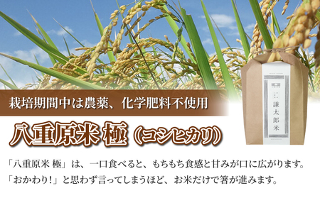 【太陽と大地】令和7年産「八重原産コシヒカリ白米「極」（栽培期間中農薬化学肥料不使用）４kg」