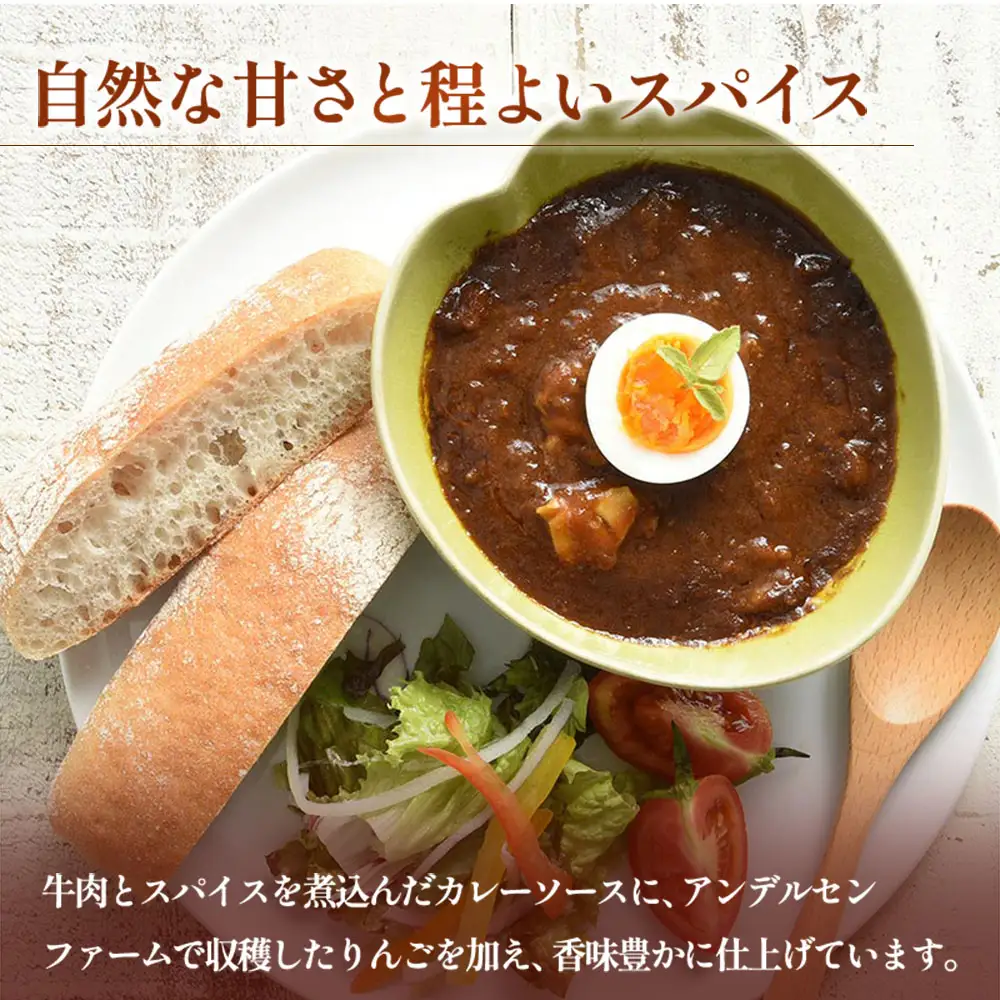 広島アンデルセン　スパイシービーフカレー（芸北りんご入り）5袋セット AN008_011