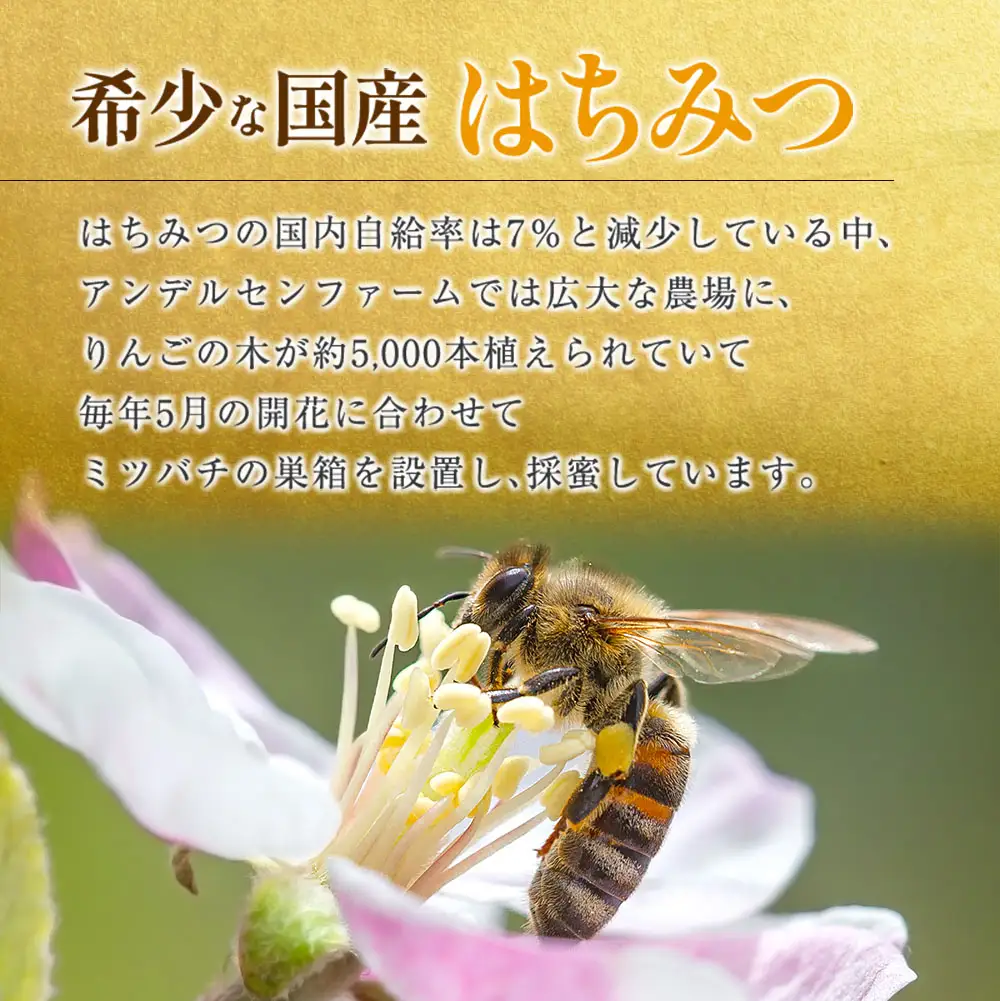 広島アンデルセン　アンデルセンファームのはちみつ（300g×2本セット） AN008_014
