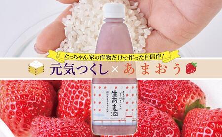 ★2025年6月1日～順次発送★苺好きの為の特濃！！あまおう生甘酒 3本
