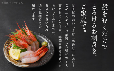昆布締め・甘エビセット たい ひらめ 甘えび 昆布締め