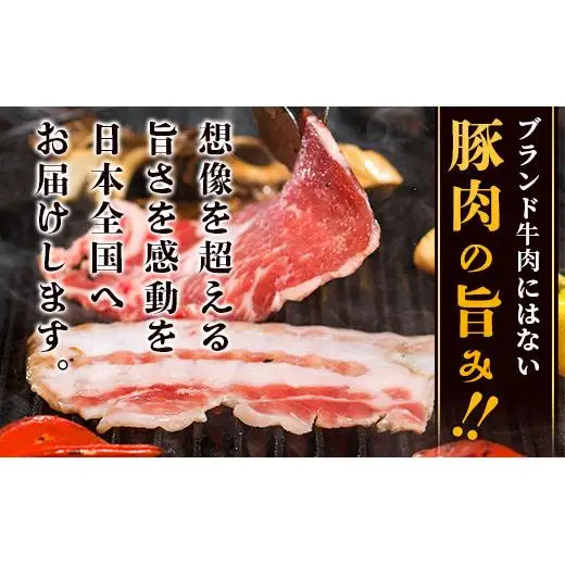 やえやまファームのアグー豚(F1種) 南ぬ豚 焼肉用 食べくらべセット　E-31-1
