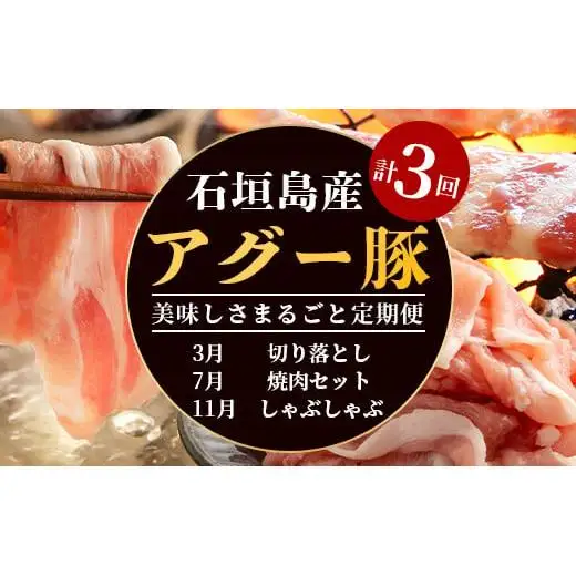 【3回定期便】石垣島産 やえやまファームのアグー豚の 3回定期便（3月、7月、11月お届け）｜南ぬ豚 アグー豚 焼肉 食べ比べ 豚肉 石垣 石垣島 沖縄 八重山 やえやまファーム  E-30-1