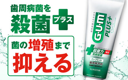 歯磨き粉 ガム・プラス デンタルペースト（ハーブミント）[AOAD027] 歯磨き粉