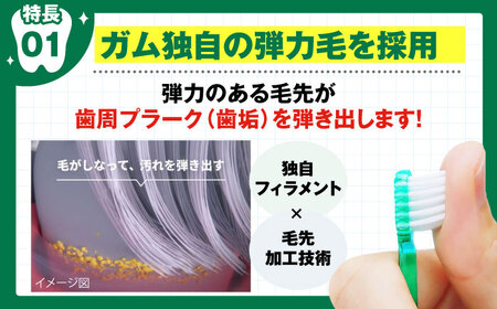 歯ブラシ ガム・デンタルブラシ #191 【ふつう・先細】 48本[AOAD025]  歯ブラシ