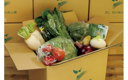 道の駅「虹の森公園まつの」産直市 新鮮野菜5～7種類 ◇｜野菜 お野菜 やさい 新鮮野菜 お試し おすすめ 季節 季節野菜 詰め合わせ 旬　厳選 産地直送 おまかせ 野菜セット ふるさと納税 愛媛県 松野町