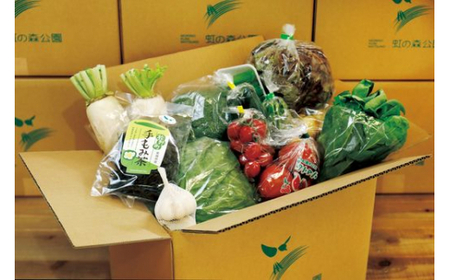 【毎月12回定期便】道の駅「虹の森公園まつの」産直市 新鮮野菜セット5～7種類＆特産品セット｜野菜 お野菜 やさい 新鮮野菜 お試し おすすめ 季節 季節野菜 詰め合わせ 旬　厳選 産地直送 おまかせ 野菜セット ふるさと納税 愛媛県 松野町