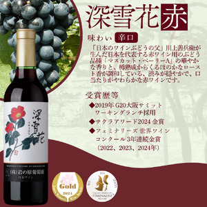 酒 岩の原ワイン 深雪花 ハーフサイズ 6本セット (赤×2本、白×2本、ロゼ×2本 各360ml) ワイン 新潟 上越 最短3日で発送