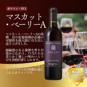 ワイン 岩の原ワイン 世界ワインコンクール金賞 マスカット・ベーリーA 飲み比べ 2本 セット（赤×2本 各720ml） 酒 ギフト ぶどう 岩の原 新潟 上越 