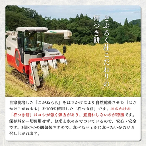 餅 天日干し 「杵つき餅」（10個入り）×5袋 もち お餅