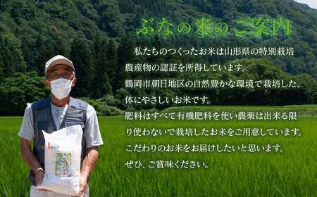 【令和7年産】特別栽培米 つや姫 4kg（2kg×2袋） 山形県 鶴岡市 伊藤農園（伊藤嘉吉）