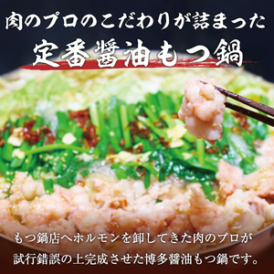 【ふるさと納税】訳あり！博多醤油もつ鍋 10人前セット [a9435] 株式会社Meat Plus ※配送不可：離島【返礼品】添田町 ふるさと納税