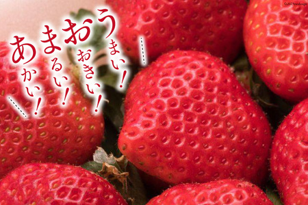いちご 博多 冷凍あまおう 約500g×2袋 計約1kg [エイチアンドフューチャーズ 福岡県 筑紫野市 21760520]