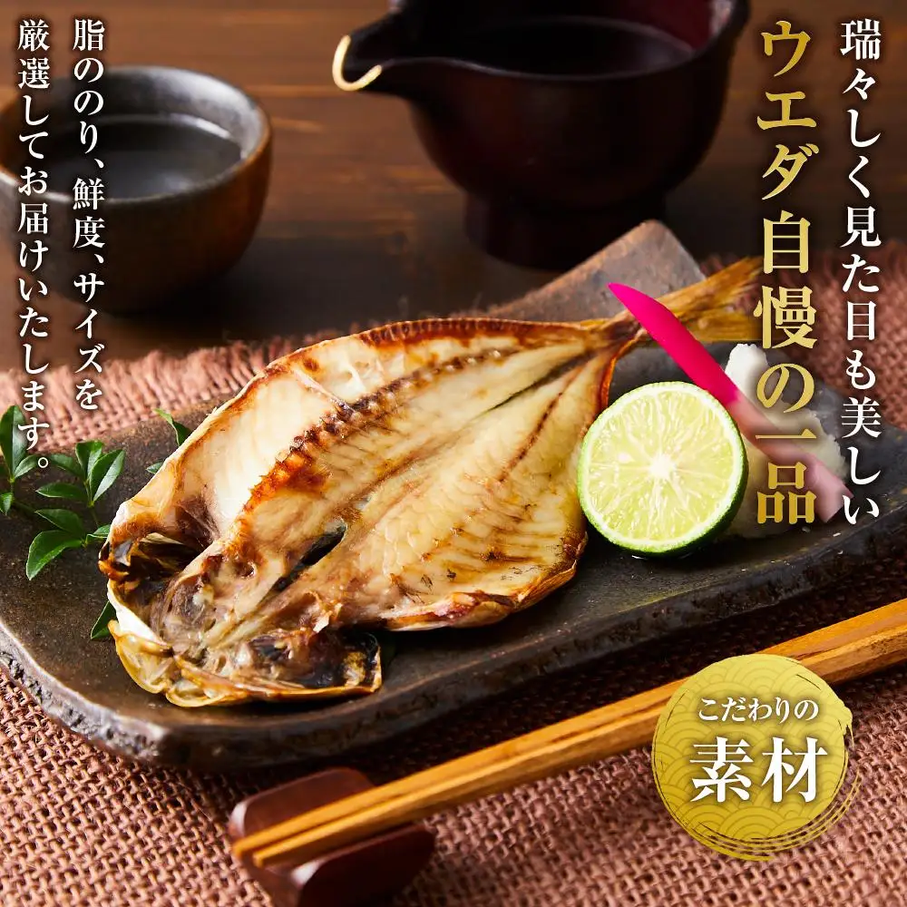 博多製造 四季のひものセット（全4回定期便） | 干物 定期便 おすすめ 人気 福岡市 お取り寄せ 取り寄せ グルメ