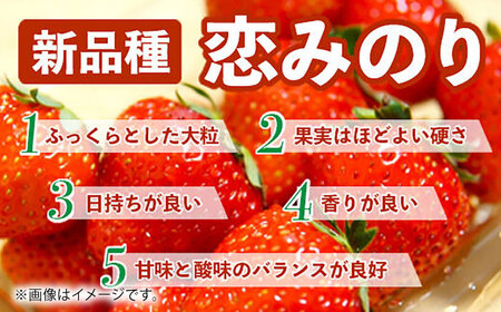 【先行予約】恋みのり 約1kg 果物いちご苺ZBG062