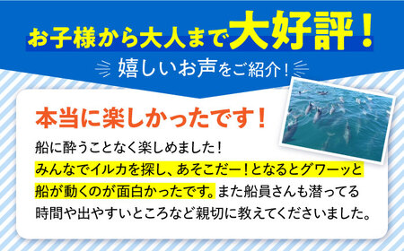 南島原 イルカウォッチング  子ども用 1人用 チケット / チケット ちけっと 体験型 観光チケット いるか イルカ イルカ体験 貸し切り いるか イルカ / 南島原市 / 南島原イルカウォッチング [SAE003]