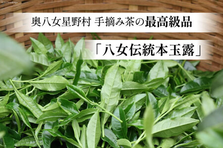 茶 伝統本玉露 50g×1袋 [ベネフィス 福岡県 筑紫野市 21760993]