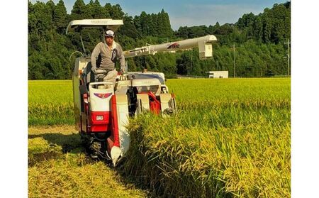 みなよし米【市原産コシヒカリ】10kg（5kg×2袋） お米 精米 白米 ブランド米 銘柄米 ご飯 おにぎり お弁当 産地直送 和食 