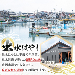 i861 ＜下処理済・加熱用＞おまかせ鮮魚BOX(約2～3kg程度・3～6種類)  魚 鮮魚 下処理済み 鹿児島県 出水近海 煮付 料理 旬 何が届くかはお楽しみ【出水はやし】