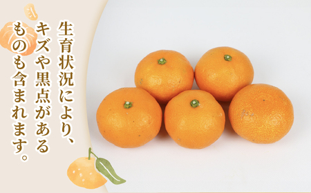 【温州】 南柑20号 2 ~ 3kg 矢野青果 温州 B012-171006