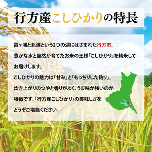 ★令和7年産★行方産こしひかり 5kg(検査1等 米)｜米 お米 コシヒカリ こしひかり R7年産 茨城県 行方市(CU-30-2)