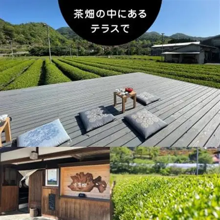 【参加チケット】茶畑を一望するお茶農家のテラスで煎茶体験＆飲み比べ【1442288】